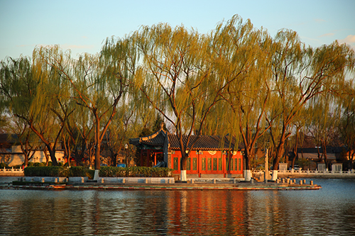夕阳下金色的北京什刹海